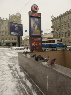 060-P1030821.JPG.medium.jpeg